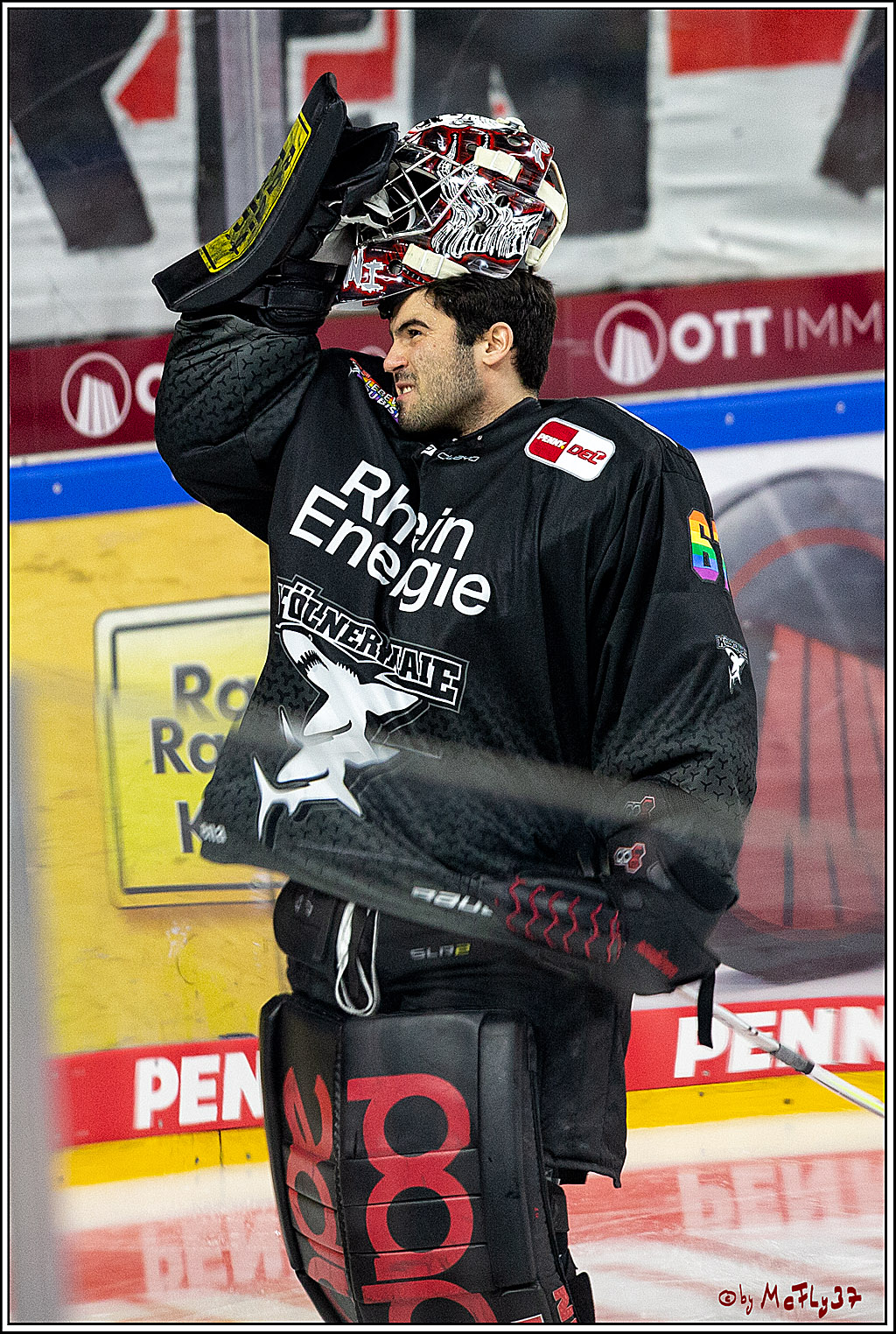 PENNY DEL;  Koelner Haie - Fischtown Pinguins Bremerhaven; Koeln, 17.01.2021